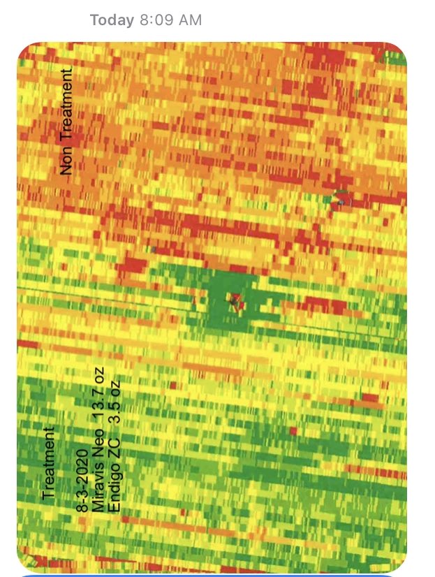 This grower got a 3x ROI on this bean field spraying Miravis Neo with insecticide .  10 bpa better than untreated.  88 vs 78 bpa.  This is the first of many trials.  More to come!