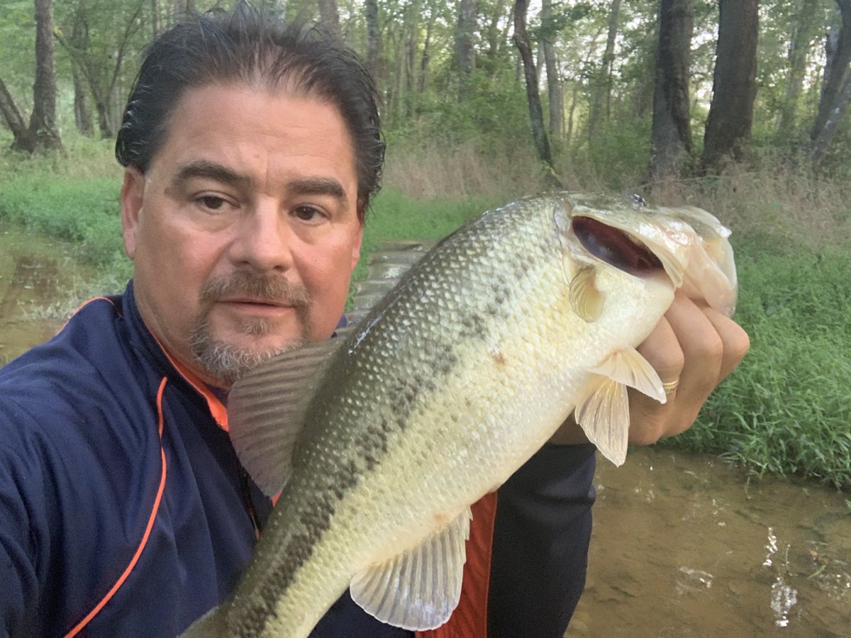 lutherlibby's tweet photo. Kickin’ bass and taking names tonight! Cooling down but the top water still in play! 4lb/3oz. #hulapopper  #gotheem @bassmaster @hunteramcdaniel https://t.co/jvat7l2Pzz