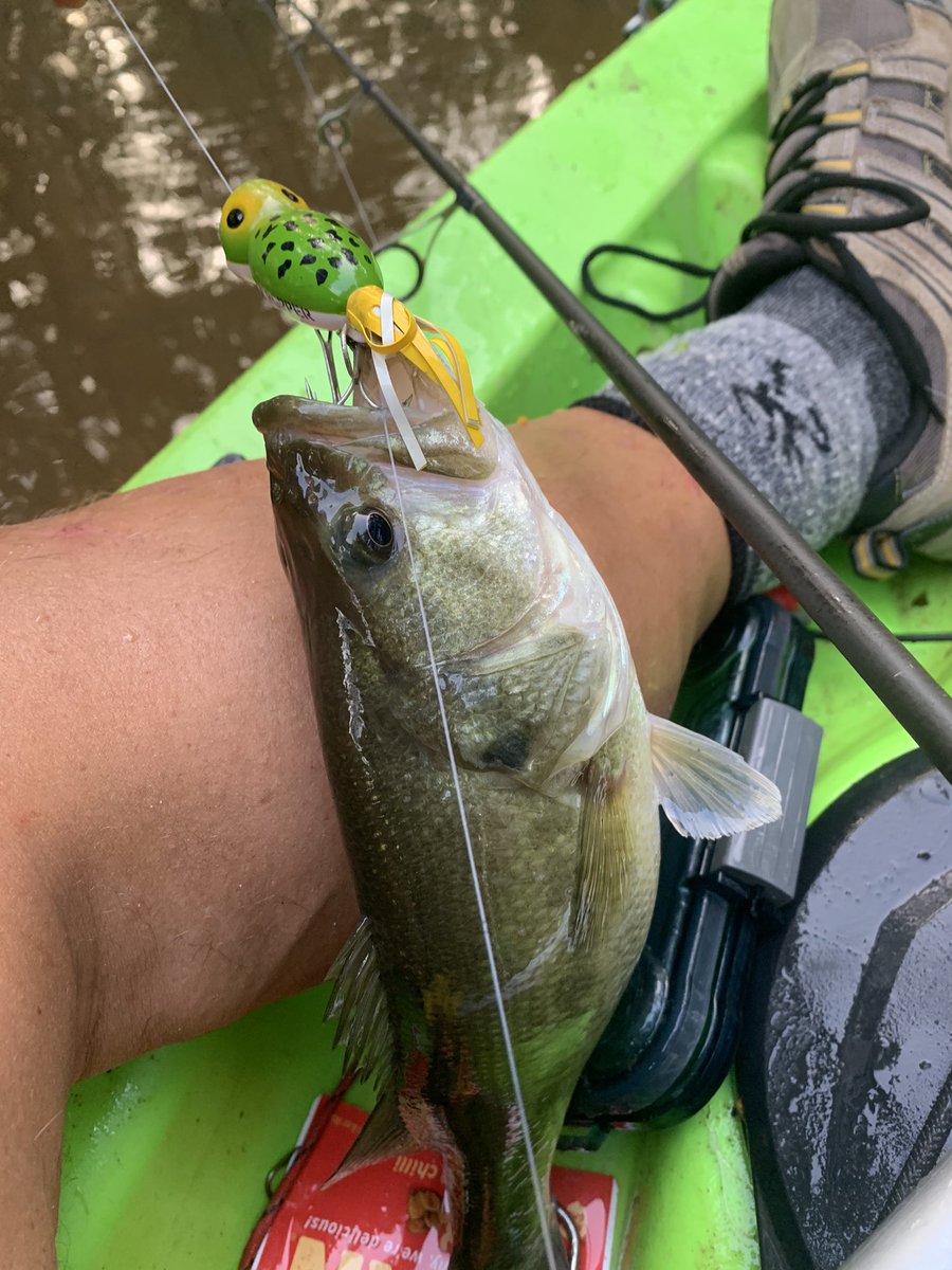 lutherlibby's tweet photo. Kickin’ bass and taking names tonight! Cooling down but the top water still in play! 4lb/3oz. #hulapopper  #gotheem @bassmaster @hunteramcdaniel https://t.co/jvat7l2Pzz