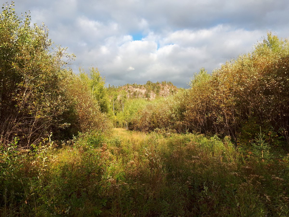 The glowing September colors of my late afternoon annual excursion to the more remote parts of <a href="/WildernessRanch/">Wilderness Ranch</a> , checking to see how far the cattle traveled this year ,still some unreached areas . Always wondered why the previous generation had no back fences .