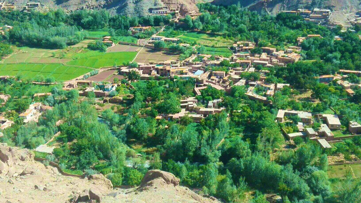 KabulArian's tweet photo. چپه نمک زردالو صاقی از دیار زیباه و زادگاه بنده ولسوالی کوهمرد ولایت بامیان روستاه ده تاجیك deliver for the world 🌍 please share this with your friend &amp; your family ☺️enjoy your life contect whatssap 00971559960561 https://t.co/uzVgiMP8os