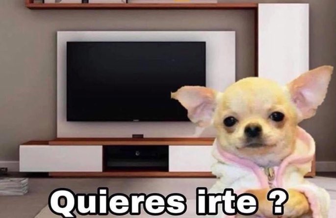 flanchota's tweet photo. - mama: ofrecele algo a la visita
- me: https://t.co/LU3g1H2gW3