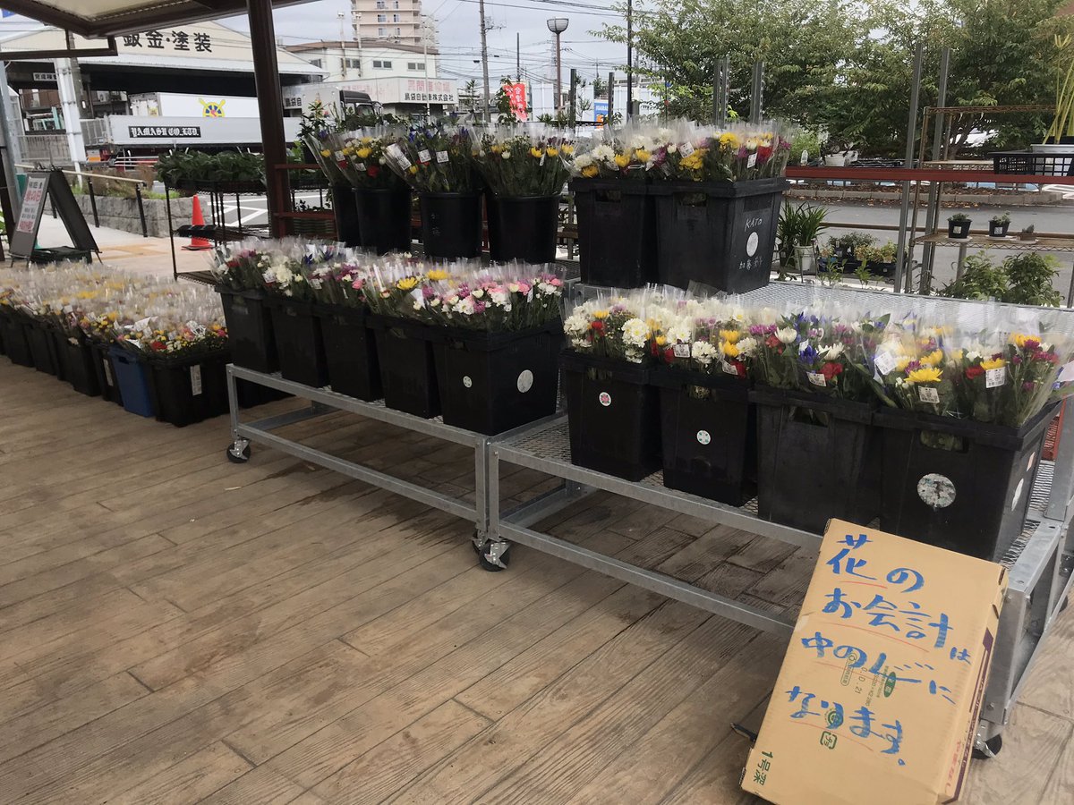 andgreen_cafe's tweet image. どんより天気ですが、&amp;amp;green CAFEこのあと10時にopenです😚

フォカッチャサンド🥪もありますよ。そして新メニュー「北本トマトのミルクかき氷」もお出ししますね🍅

桜国屋さんはお彼岸中9/22まで、オープンが9:30！

お買い物のあと、ぜひお立ち寄りくださいね。#kitamoto #andgreencafe #桜国屋