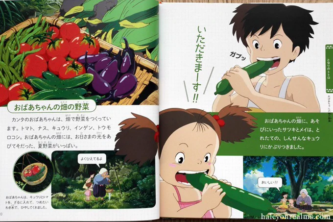 @Johnny_suputama This Ghibli book on their food should please you - https://t.co/CZF0GkWL0e 