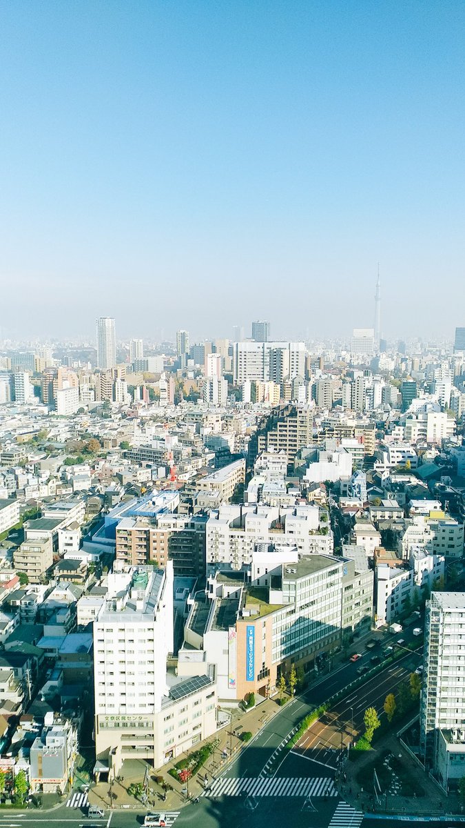 lalatheducky's tweet photo. Day 2; Stay Diary

When I travel somewhere, I always try to see all the city from the bird view. And it's always exciting to be close with the sky, it reminds me that we are all human residing in the same world, seeing the same sky. #skylog

#STAY_일기장922 @Stray_Kids https://t.co/3GTPoVIbDk