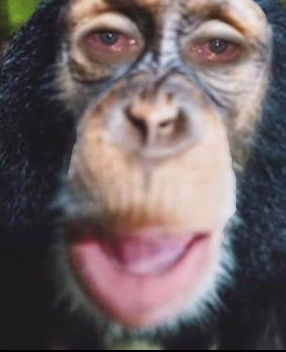 The Currls (@thecurrls) on Twitter photo 