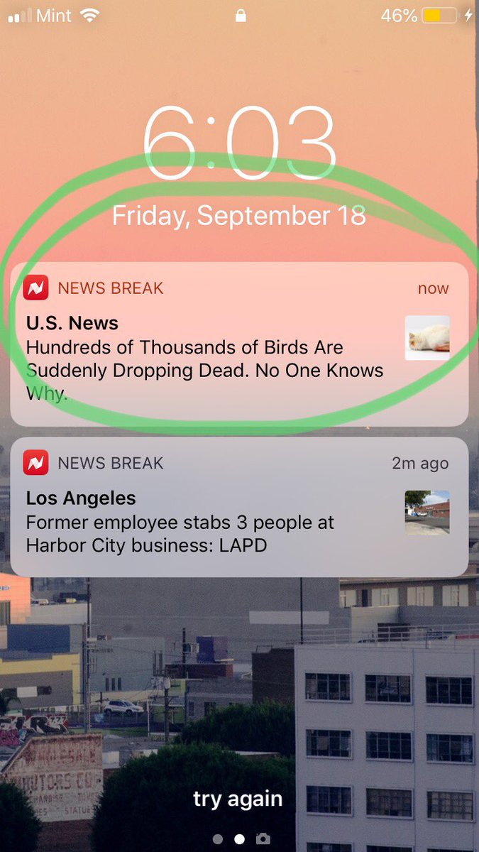 The Goose Girl tweet media