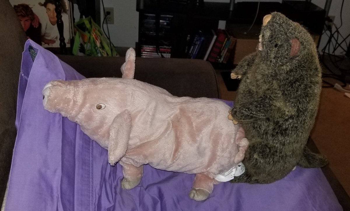 EvieBigToe's tweet photo. @APoetLawyerette @TheBoysTV Oh the double meaning. You have a fuck Lucy! I have a girl beaver and a boy pig.
#InsideTheBoys #terrorchallenge
And it looks like Homelander graduated from Mother's Milk to SUPErfoods! https://t.co/rIGWLC5Wqs