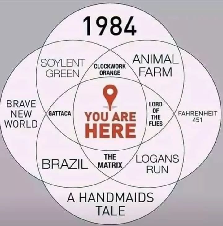 michael sirbola tweet media