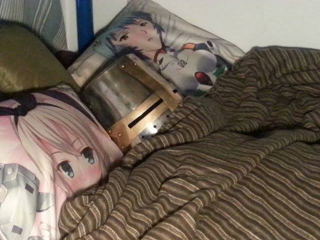 WackyDakimakura's tweet photo. https://t.co/hyu4zTZxRc