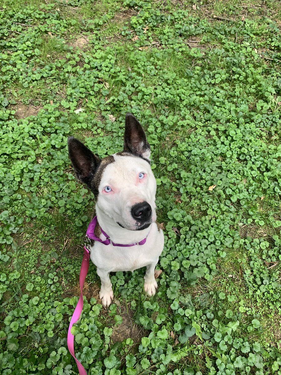 Love her and hate her at the same time.