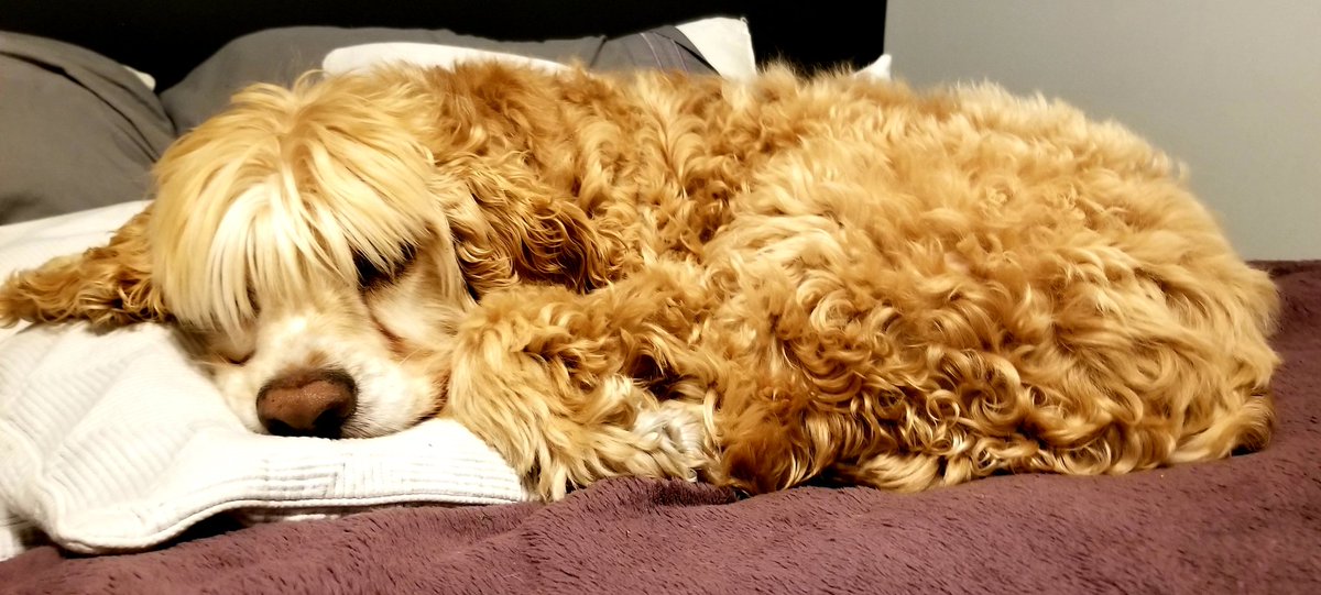 TGIF🥰🥰😴😴