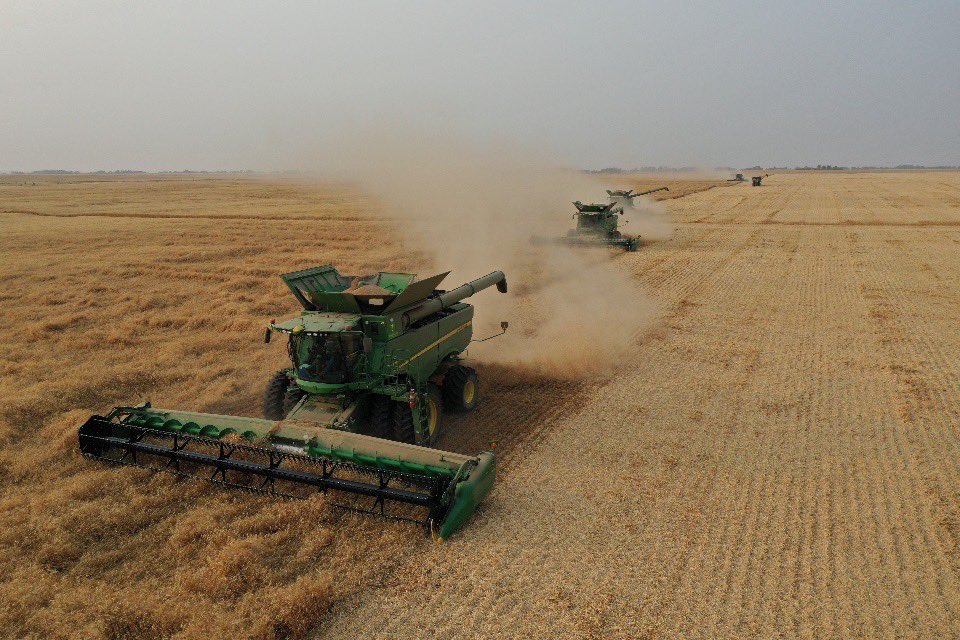 PremiumAg's tweet photo. We shot for an aggressive crop here this spring. Even with manipulator this #AACBrandon #wheat had a good lean. Still combining nice with yield and protein though. #harvest20 #BFL #JohnDeere https://t.co/7RzJQOJaWt