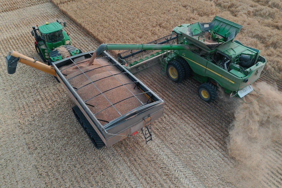 PremiumAg's tweet photo. We shot for an aggressive crop here this spring. Even with manipulator this #AACBrandon #wheat had a good lean. Still combining nice with yield and protein though. #harvest20 #BFL #JohnDeere https://t.co/7RzJQOJaWt