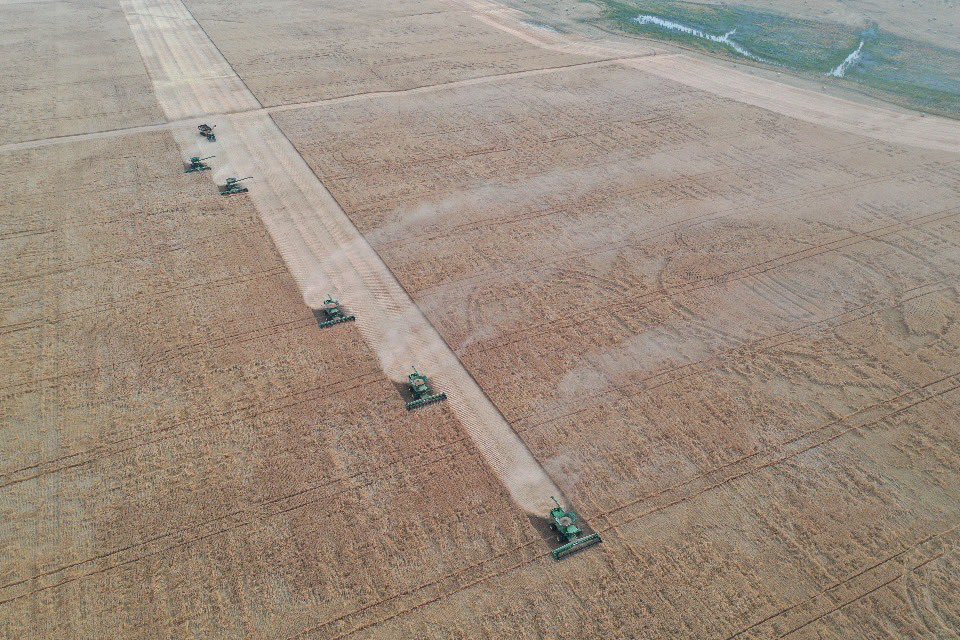 PremiumAg's tweet photo. We shot for an aggressive crop here this spring. Even with manipulator this #AACBrandon #wheat had a good lean. Still combining nice with yield and protein though. #harvest20 #BFL #JohnDeere https://t.co/7RzJQOJaWt