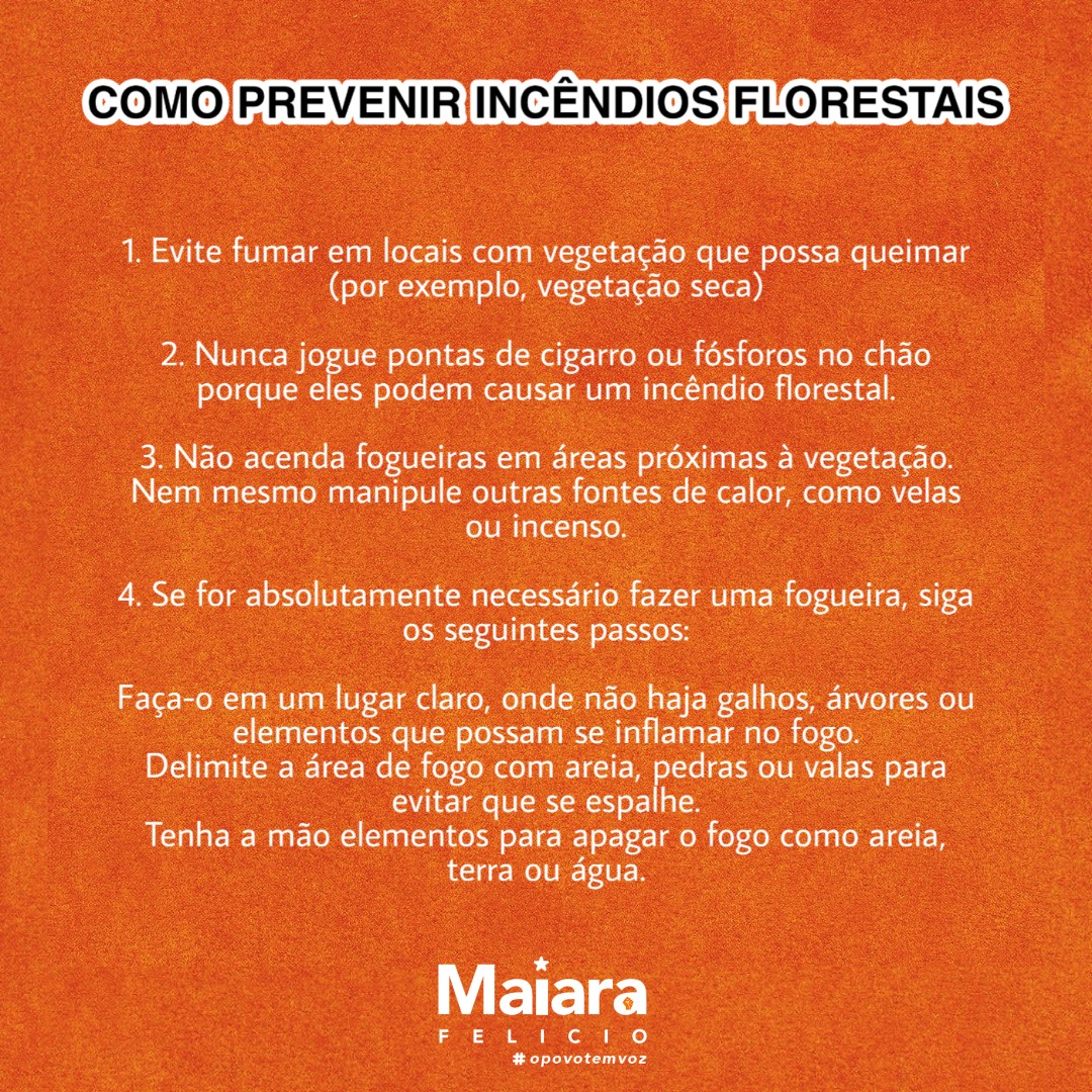 maiarafelicioo's tweet photo. https://t.co/WUxCEmAaJA