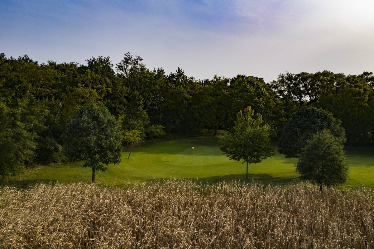 TNGolfFnd's tweet photo. ✨⛳️

Retweet if you’ve ever experienced the magic of the Lightning Bug Course in College Grove... https://t.co/yzr2x181pj