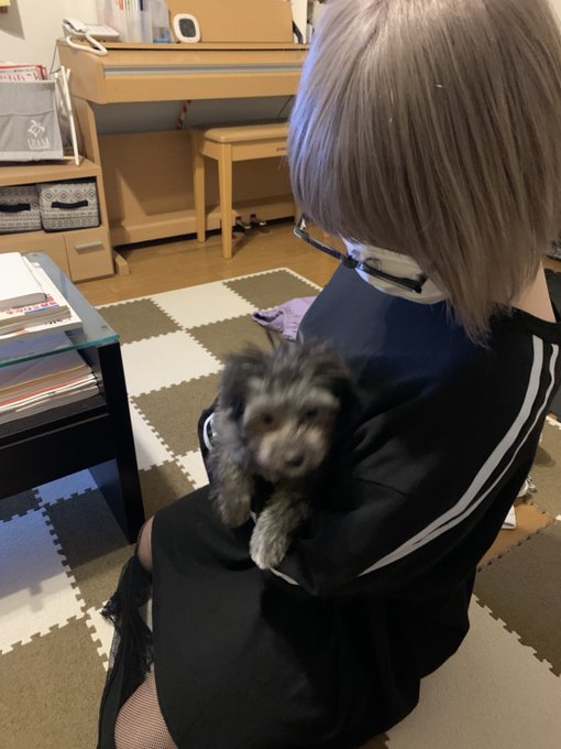 コスプレイヤー碧葉さちのTwitter画像28