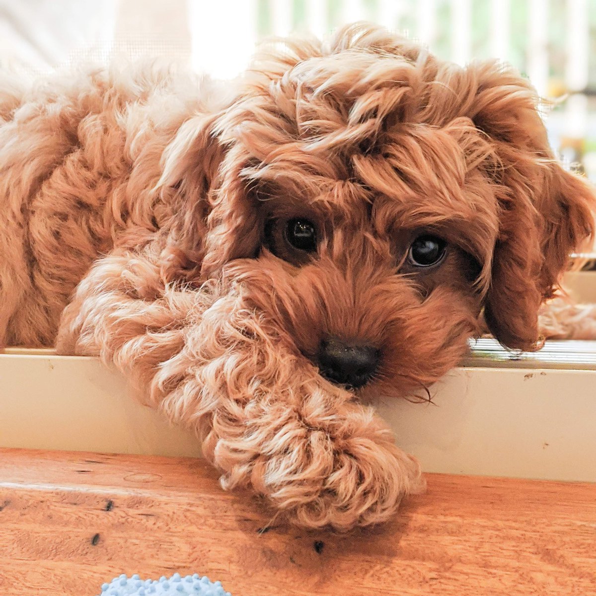 KatchingKatie tweet media