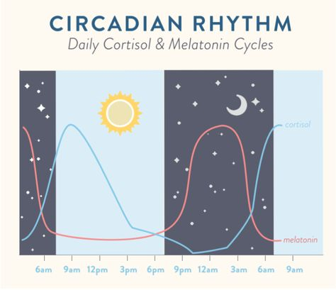 1. Go to sleep and rise at the same time each day.Your Circadian rhythm facilitates the rise and fall of the hormones which wake us, and make us feel tired at the end of the day.Your routine is most important in ensuring you feel tired before bed, and wake up naturally
