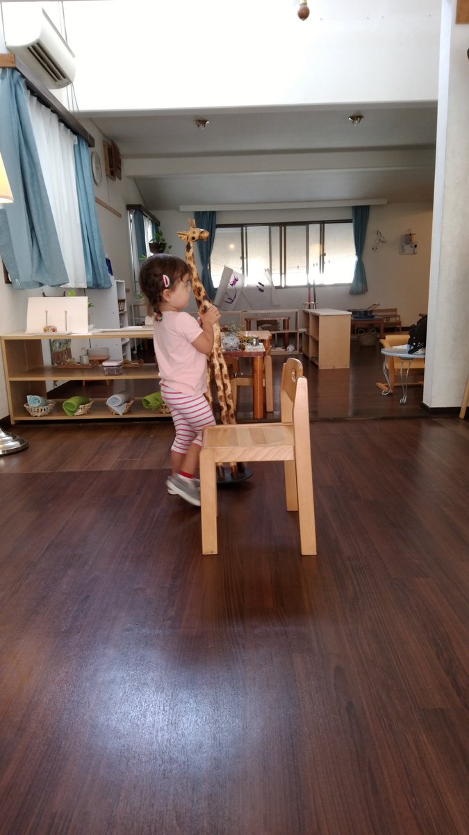 MSTokyoPine's tweet photo. Walking around the chair while carrying a big object.🦒#MSTlittlepeople #MSTpracticallife #MSTconcentration https://t.co/0WW6OWmiu9