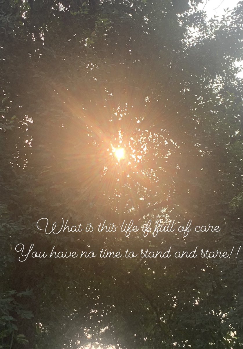 GitikaPandey's tweet image. Be close to nature!! It’s amazing healing!!