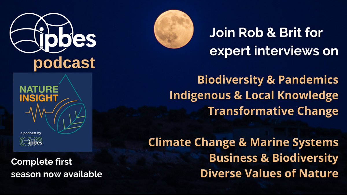 #Biodiversity, #GreenRecovery &amp; #OneHealth are now top of mind for policymakers &amp; public after reports from <a href="/WWF/">WWF</a>, <a href="/UNBiodiversity/">UN Biodiversity</a>, <a href="/ForestPeoplesP/">Forest Peoples Programme</a> &amp; <a href="/IIFB_indigenous/">IIFB</a>

Want to hear more about #Nature and #NaturesContributions to People?

🎧<a href="/IPBES/">ipbes</a> #podcast👉 link.chtbl.com/cNKLPxsi