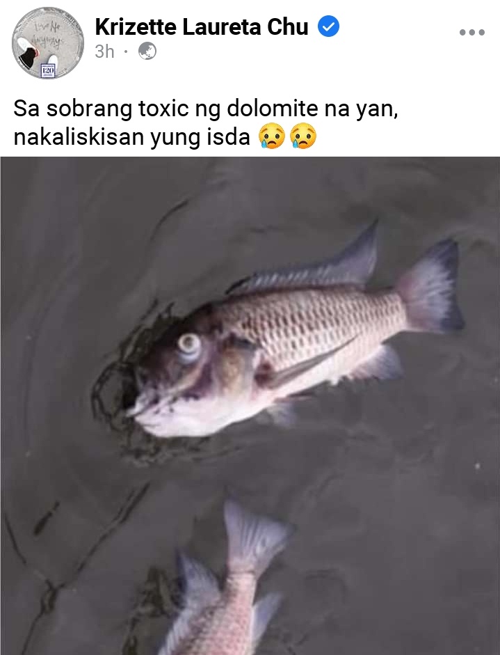 Drogoluvsbubwit's tweet photo. Di lang nakaliskisan tanggal pa bituka. Galing palengke? 😂 #TanimIsda https://t.co/symFPIiTFA