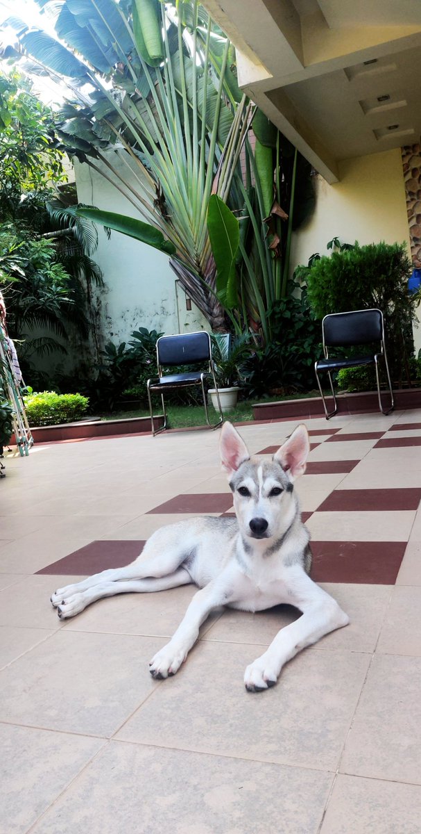 Vivek Samtani tweet media