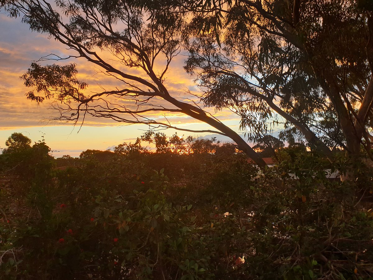 Badron88's tweet image. The view from my front yard. Thought I'd share.