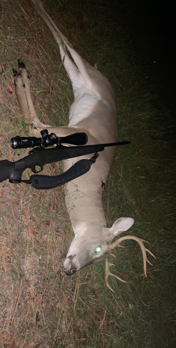 scatpack416x's tweet photo. Got to break the ice here in 2020 tonight! #9point #southcarolinawhitetails https://t.co/vJrbCrlDfA