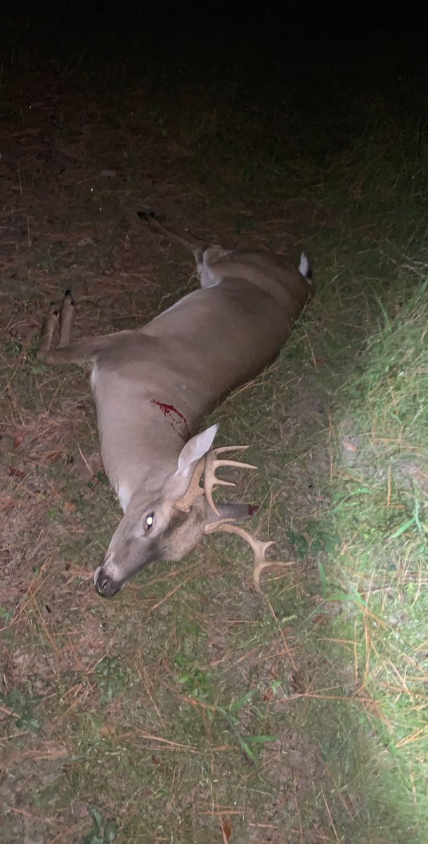 scatpack416x's tweet photo. Got to break the ice here in 2020 tonight! #9point #southcarolinawhitetails https://t.co/vJrbCrlDfA