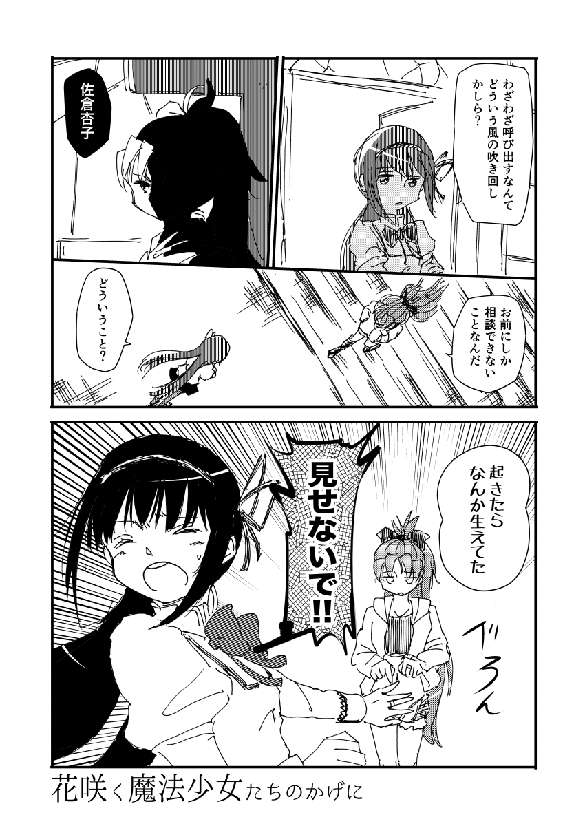 去年のもう恐33で頒布したコピ本。ほむあん。1/4 