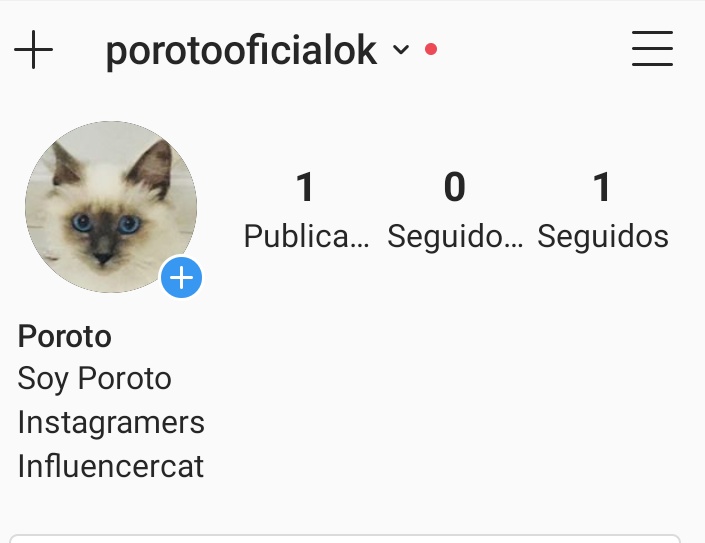 nachaguevara's tweet photo. Pueden seguirme en Instagram en @porotooficialok
Gracias por todos los saludos y las fotos de mis nuevos Amigos.
#influencercat #instagramers #nacha https://t.co/9QVkhUoZQ5