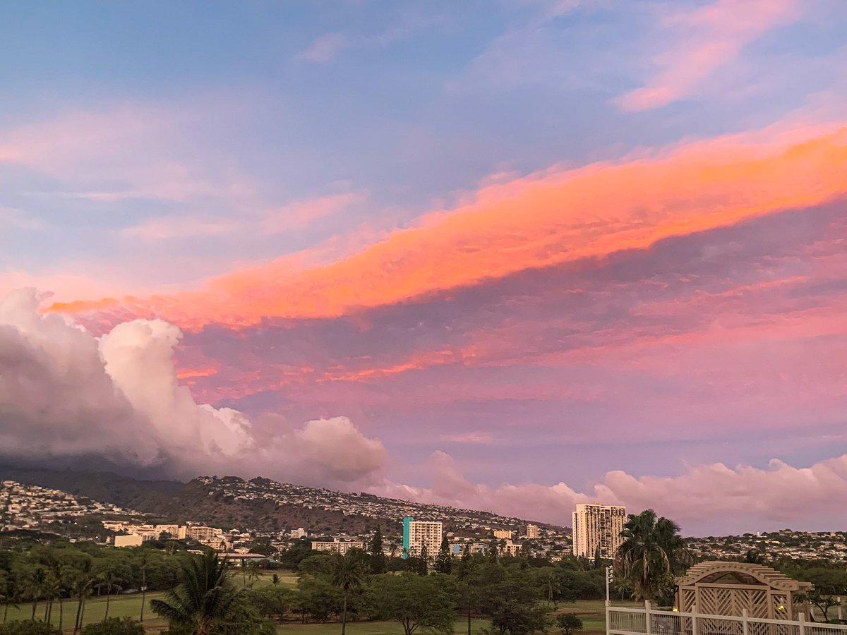 ひかり ハワイビデオグラファー Hikari Twitter