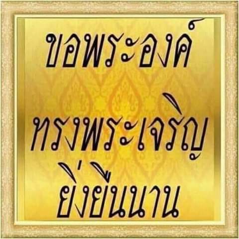 Solansengiii's tweet photo. https://t.co/w0yx3IfiDG