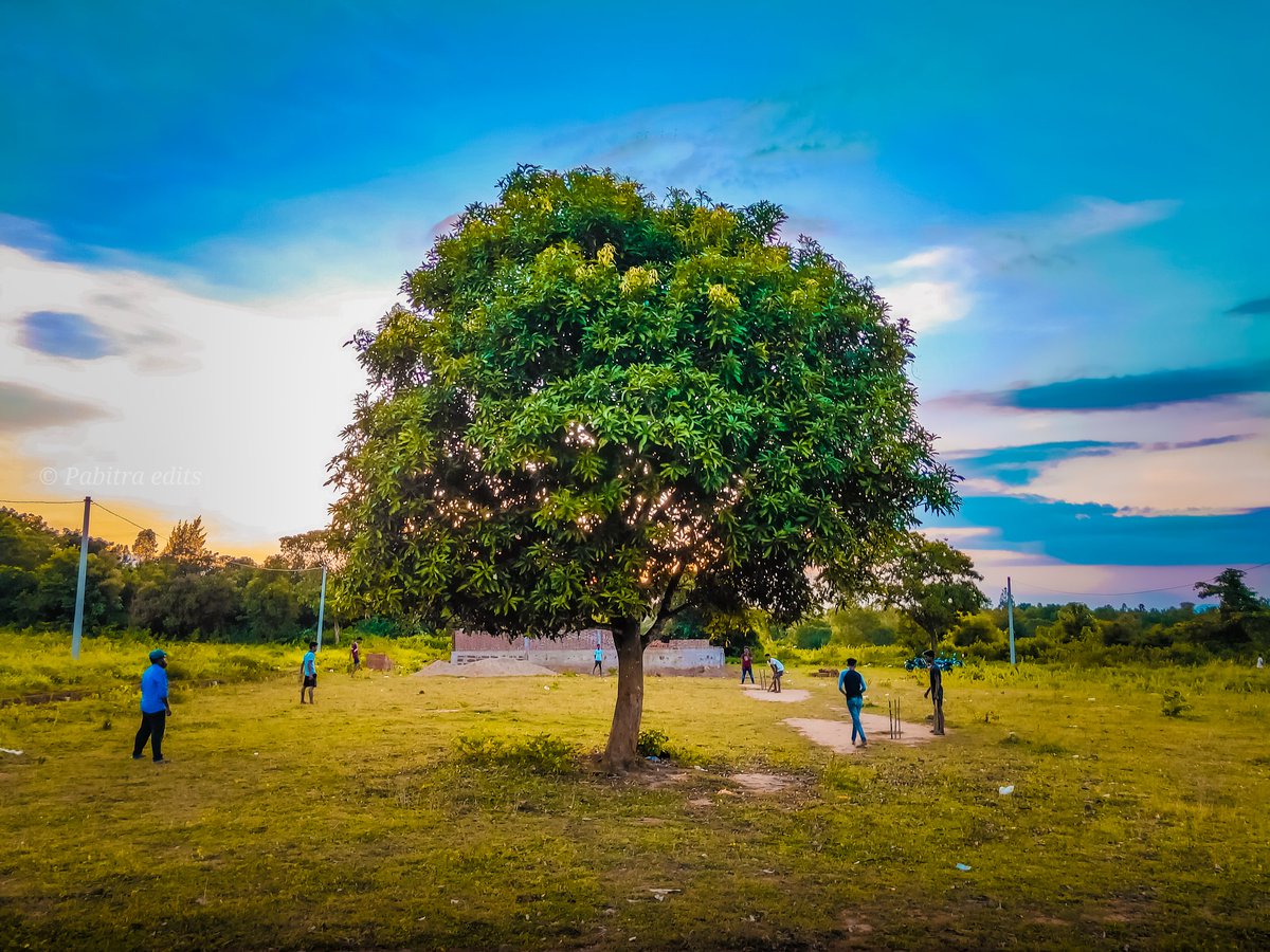 EditsPoint's tweet photo. #pabitraeditspoint #pabitraedits 
#nature #naturephotography #naturelovers #NatureLover #natureza #Naturegram #natureporn #natureaddict #naturephoto #natureshots #naturelove #natureonly #naturel #naturewalk #naturehippys #natureshot #natureart #naturepic #naturesbeauty https://t.co/WPL7p2JSoH