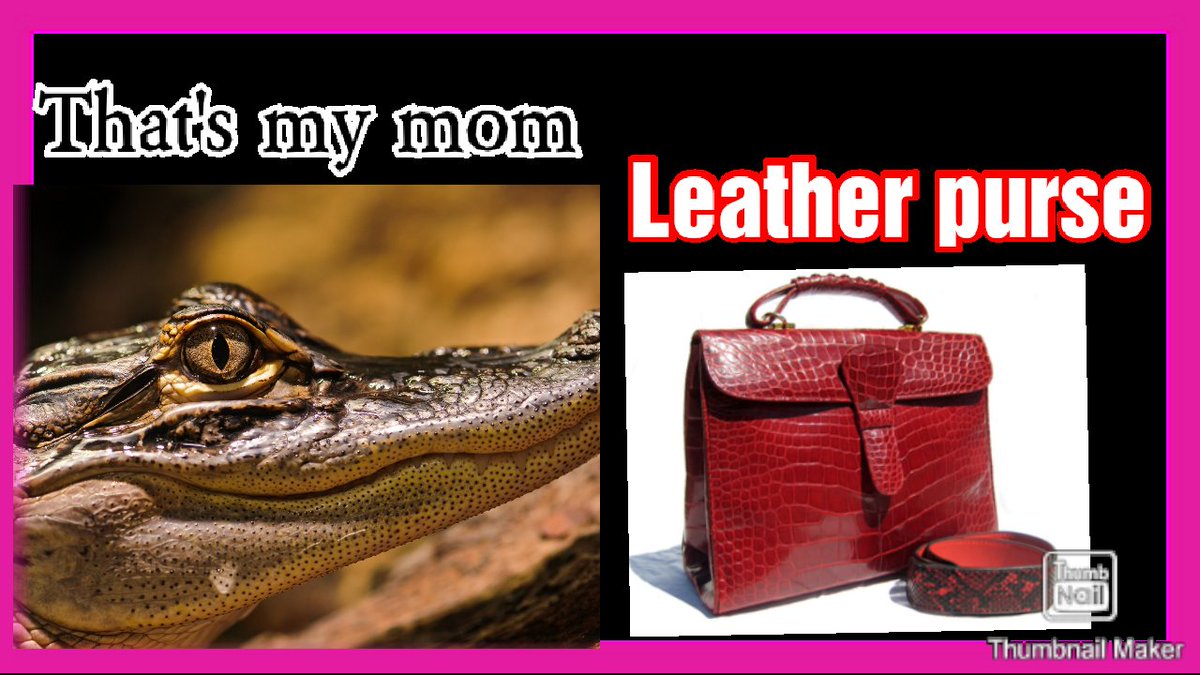🐊🐊🐊For some it's a purse for someone it's a his family🐊🐊 what will you 🐵chose¿¿¿??????... you🐸 vegan style or someone's Life.. 

#veganlife