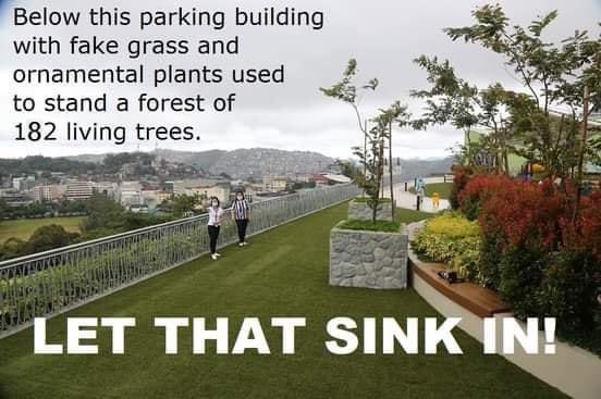 Below this parking building with fake grass and ornamental plants used to stand a forest of 172 living trees.