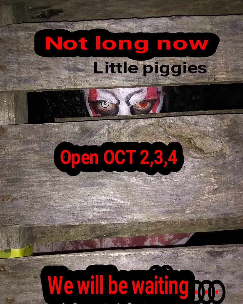 hallsofmadness's tweet image. hallsofmadness.com
Every weekend in October