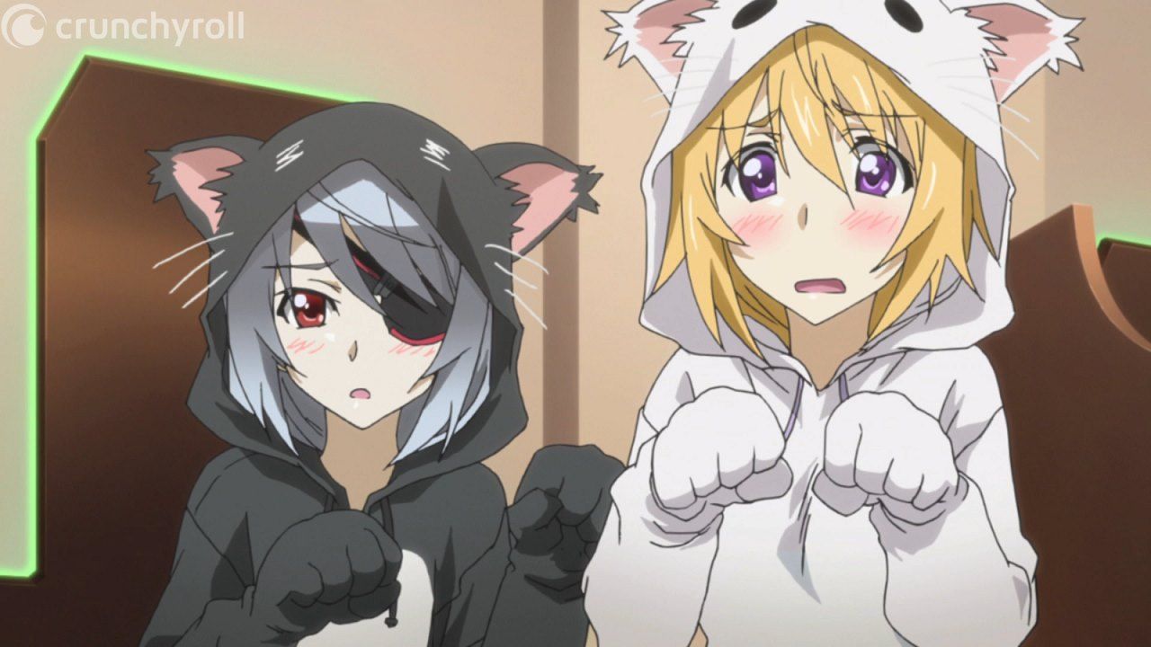 Crunchyroll on X: Good Night ~ (via Infinite Stratos)   / X