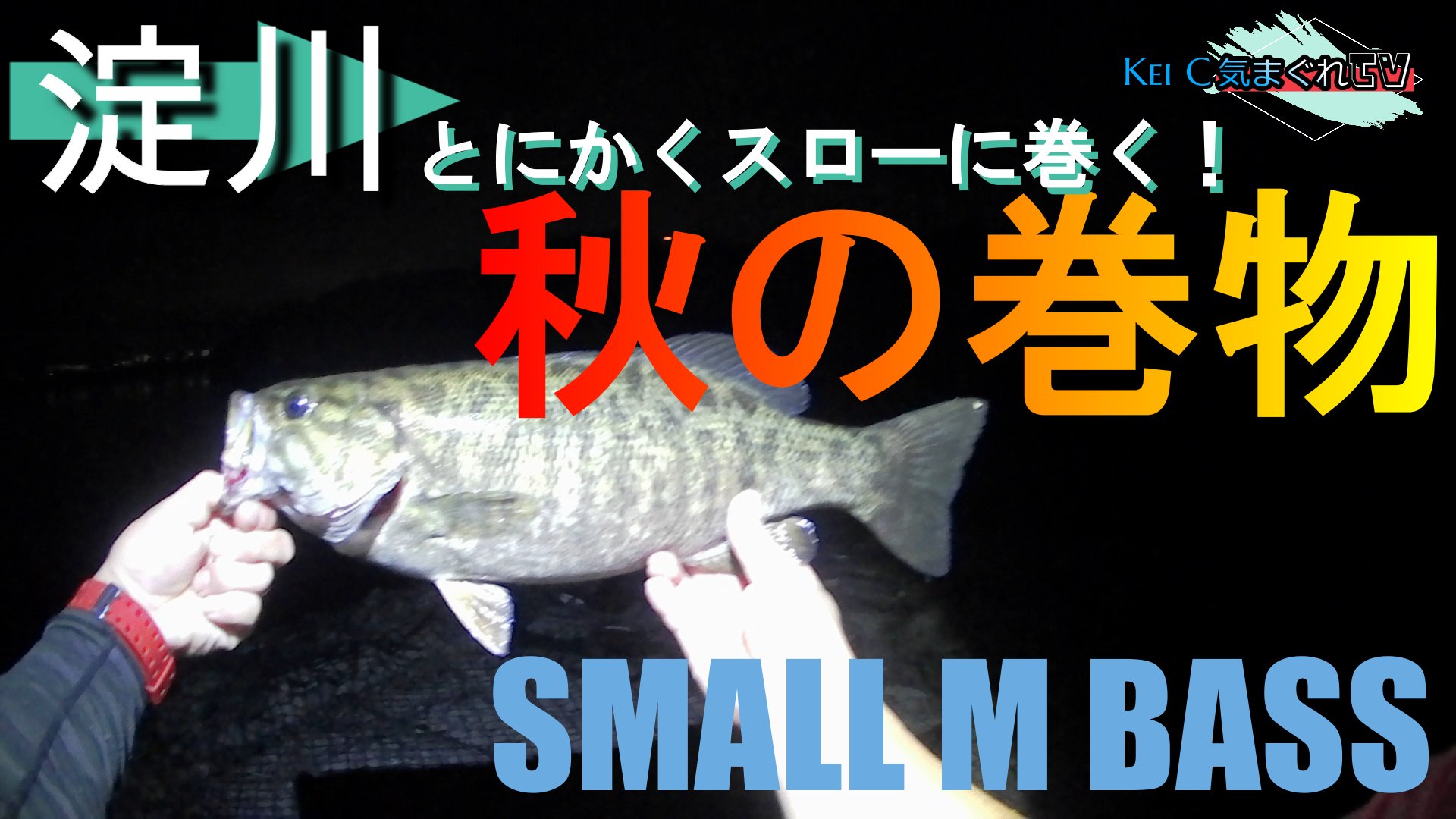 ケイシー なんだかんだ淀川のスモールマウスは イケてた バス釣り お時間ある方 よろしくお願いしまーす バス釣り 淀川 スモールマウス 釣行記録 夜釣り リズムウェーブ4 8 サカマタシャッド5 T Co Jk3fzby0tk