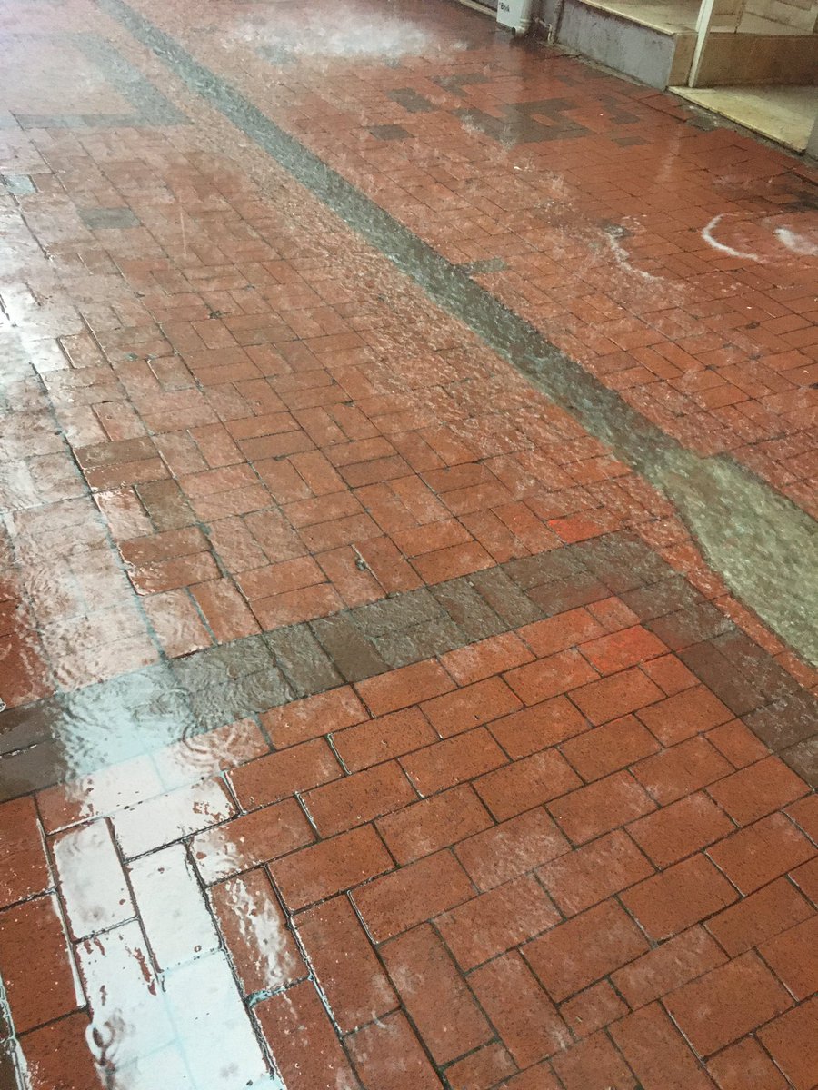 Sevgili tanrı Hopa belediyesini geçtin bu kadar su olur mu 😂!