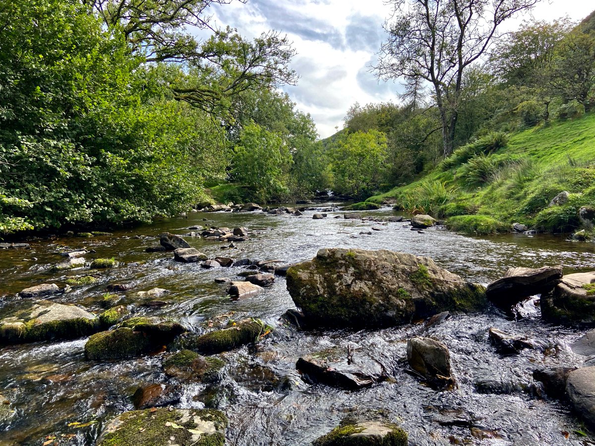 chrisb_somerset's tweet photo. Some pics of our walk through Doone Valley yesterday. #exmoore #lornadoone #literarytrails #SaturdayMotivation https://t.co/gw0AANrHvb