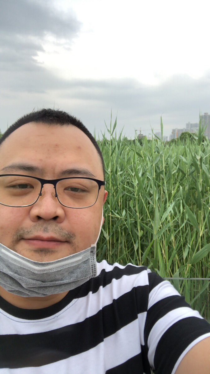 bear_XS_vic's tweet photo. 这芦苇真高 https://t.co/Q7YgHtIfAi