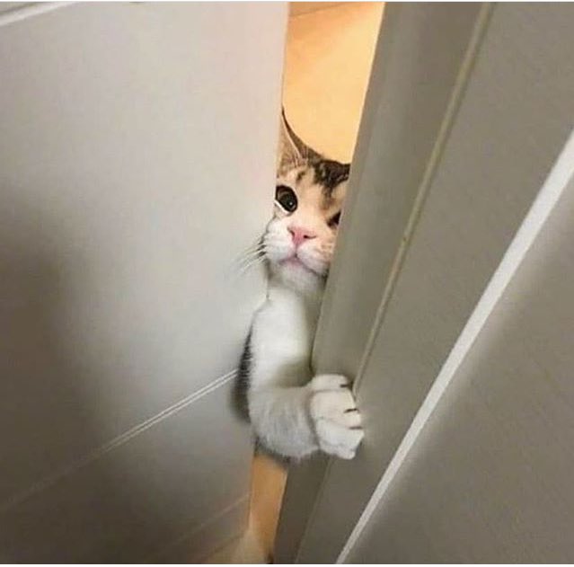 Kıbrıs: Gelmenize gerek yok
Ben: Aç valla eşyalarımı alıp çıkıcam