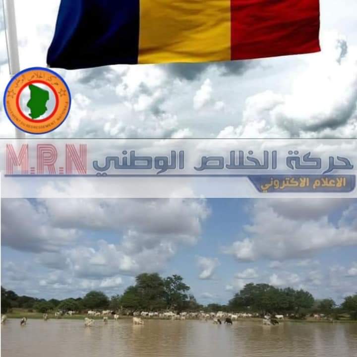 #حركة_الخلاص_الوطني_التشادية 
#الإعلام_الإلكتروني