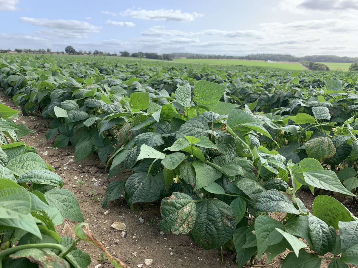 The #dwarfbeans enjoying the ☀️ and some water with <a href="/jimma_brown/">James Brown</a> and <a href="/Michaelballs77/">Michael Balls</a>