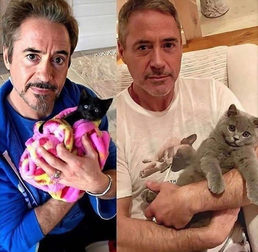 CatPeopleUK's tweet photo. @robertdowneyjr is a cat person 😍😻😍😻

#catpeople #catsofinstagram #cats #kitty #instacat #catstagram #catlover #kitten #meow #catoftheday #catsagram #catlovers #lovecats #petstagram #instagood #instagramcats #photooftheday https://t.co/mOxuvTXs4l