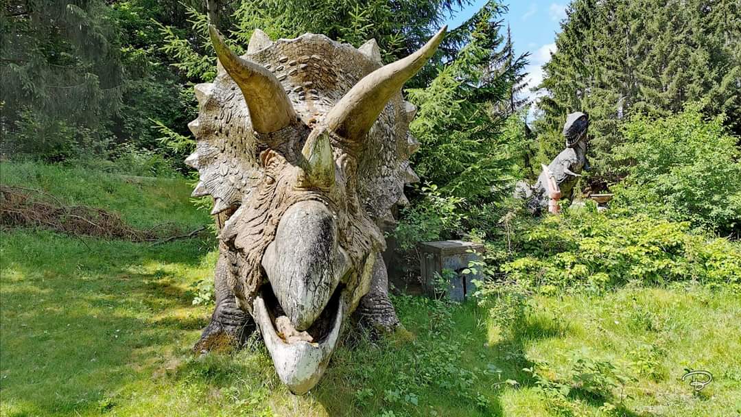 benictures's tweet photo. ONCE UPON A TIME
#dino #dinosaurs #amusementpark #freizeitpark #lostplace #looksreal #landscape #Landschaft #forrest #plech #bavaria #onceuponatime
#love #Photographie #photography https://t.co/YLPUvnoAeY